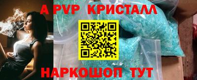 a pvp Камышлов