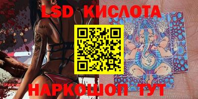 стаф Канаш