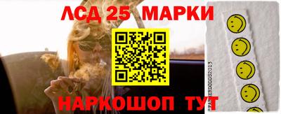 a pvp Камышлов