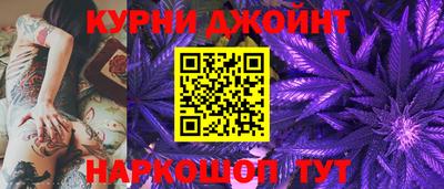 a pvp Камышлов
