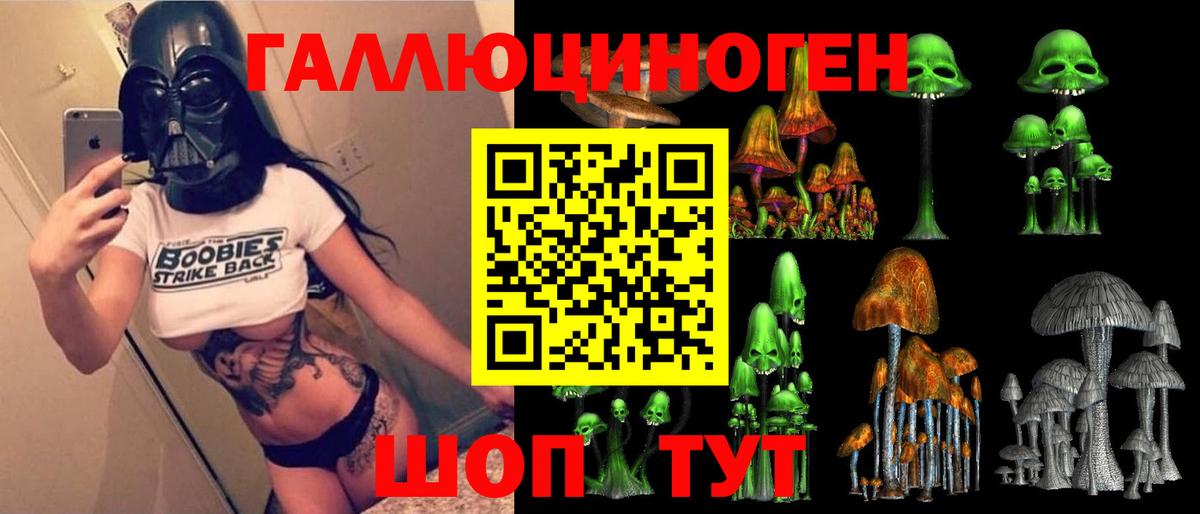 Псилоцибиновые грибы ЛСД Курчалой